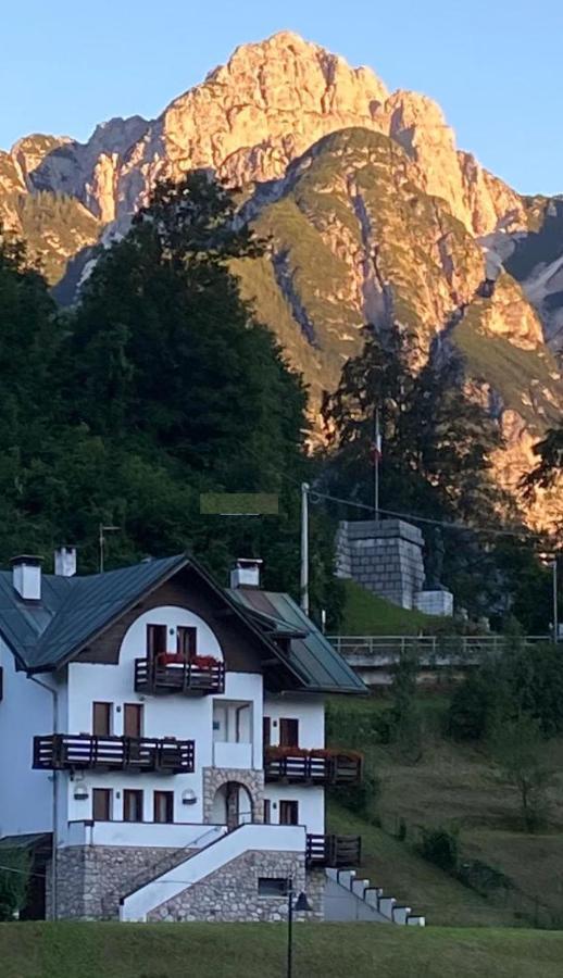 皮耶韦迪卡多雷La Casa Di Monte Ricco公寓 外观 照片